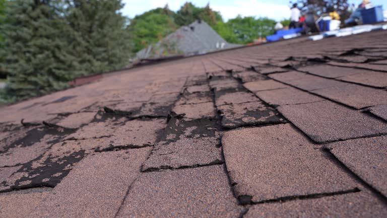 Best Gutter Installation and Repair  in Saw Creek, PA