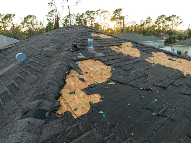 Best Roofing for New Construction  in Saw Creek, PA